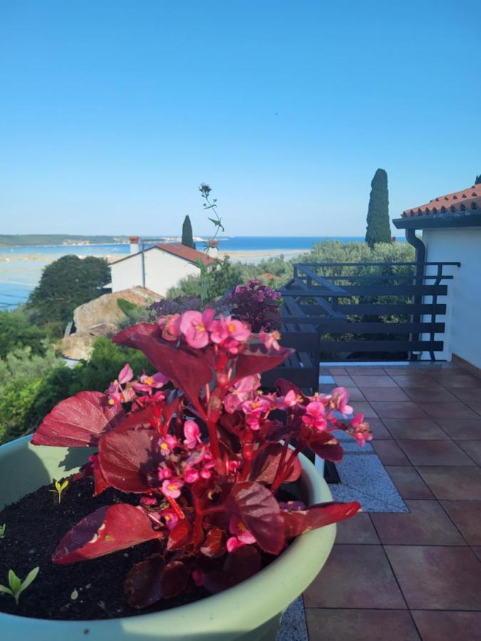La Marea Portoroz Apartment เซโชเล ภายนอก รูปภาพ